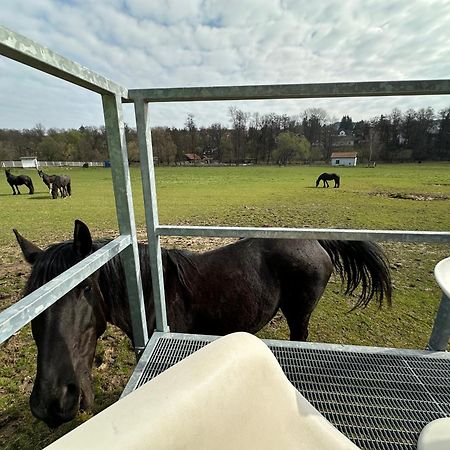 Glamping - Stylova Maringotka V Srdci Ladova Kraje, Pobliz Hlavniho Mesta Prahy Stribrna Skalice Eksteriør billede