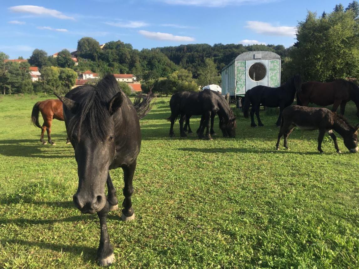 Glamping - Stylova Maringotka V Srdci Ladova Kraje, Pobliz Hlavniho Mesta Prahy Stribrna Skalice Eksteriør billede