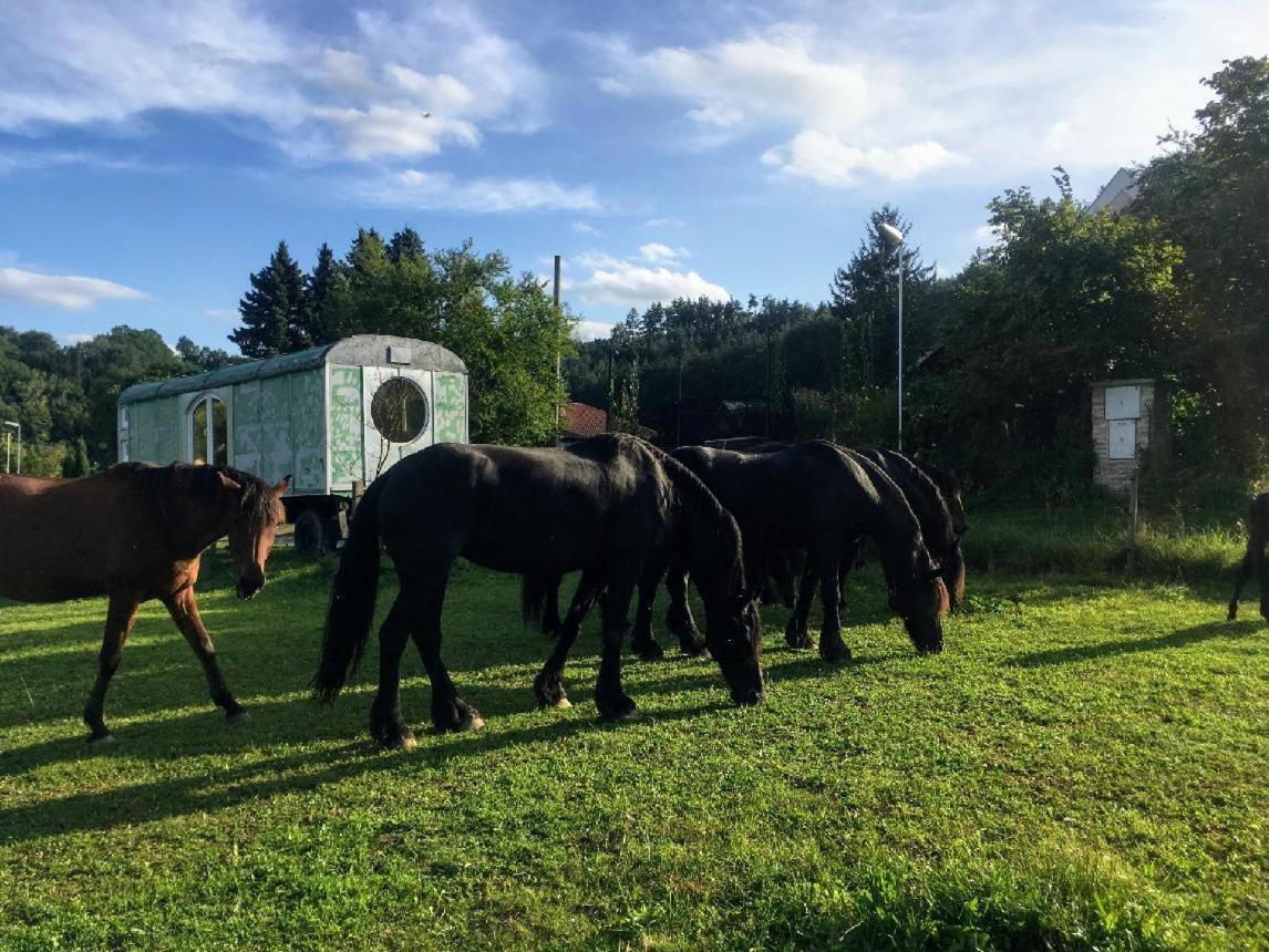 Glamping - Stylova Maringotka V Srdci Ladova Kraje, Pobliz Hlavniho Mesta Prahy Stribrna Skalice Eksteriør billede
