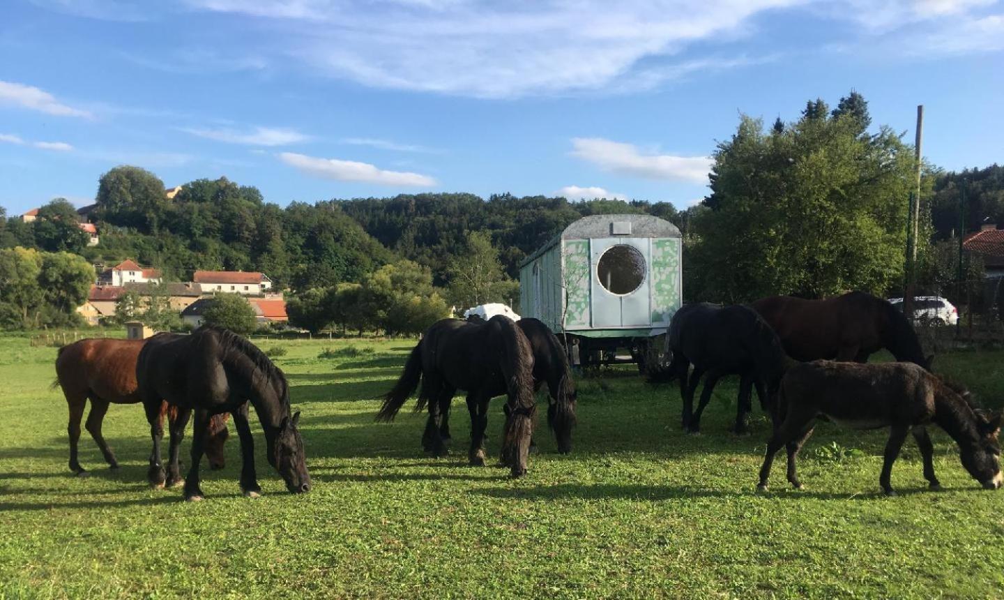 Glamping - Stylova Maringotka V Srdci Ladova Kraje, Pobliz Hlavniho Mesta Prahy Stribrna Skalice Eksteriør billede