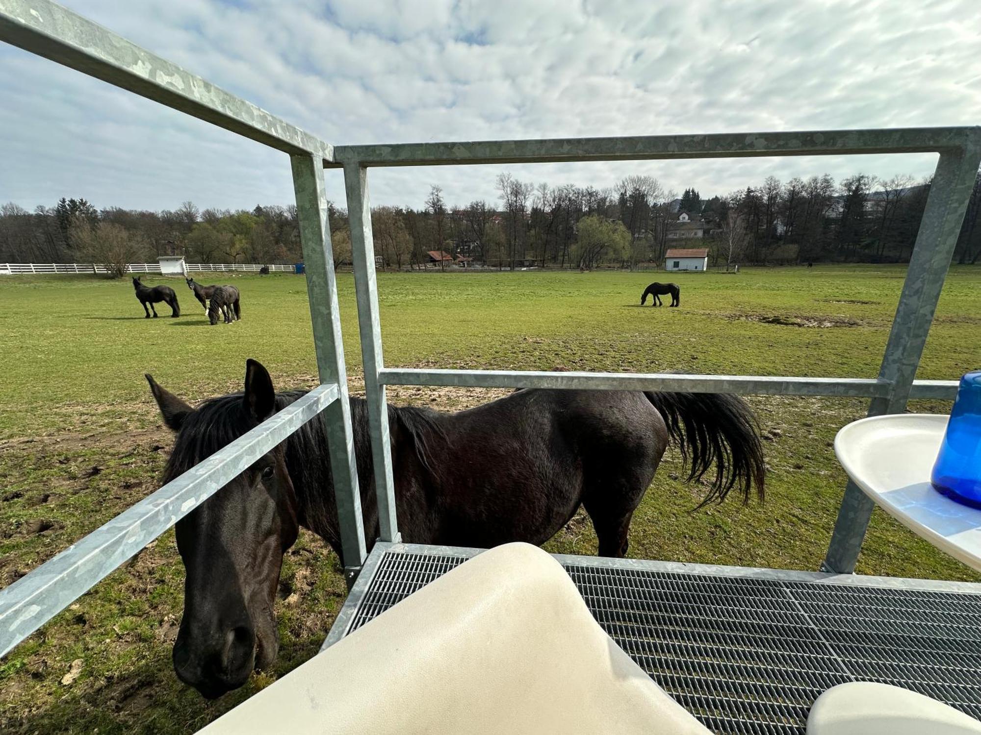 Glamping - Stylova Maringotka V Srdci Ladova Kraje, Pobliz Hlavniho Mesta Prahy Stribrna Skalice Eksteriør billede
